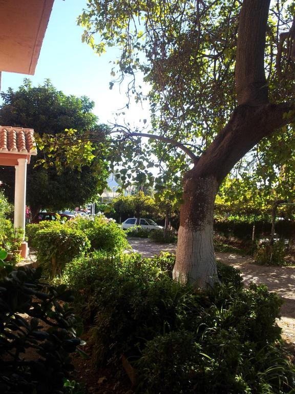 Wisma tamu El Tio Mateo Marbella